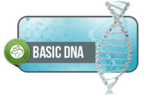 Corso DNA Base trento